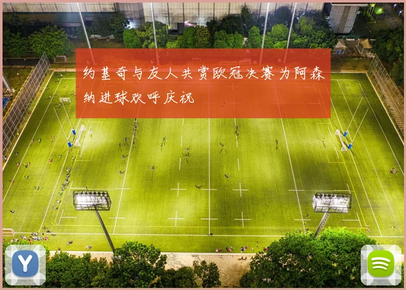 约基奇与友人共赏欧冠决赛为阿森纳进球欢呼庆祝
